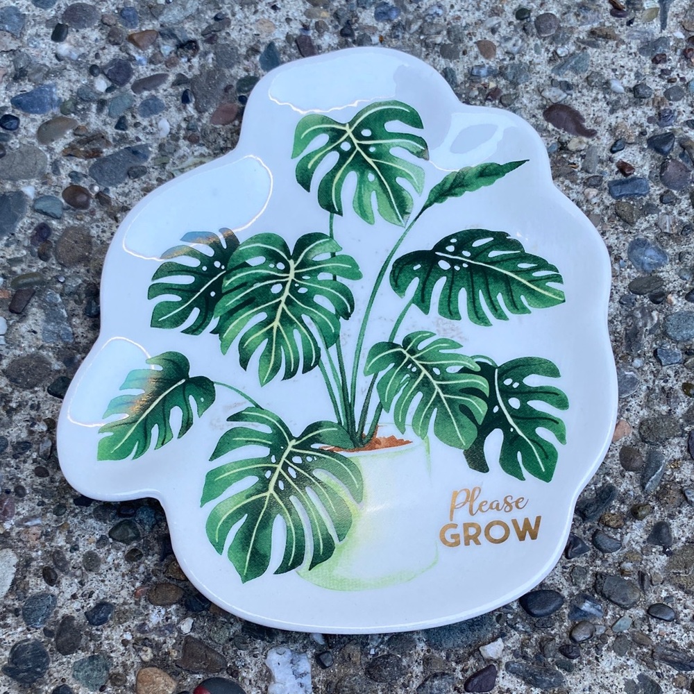 Monstera plant trinket dish Tropical leaves decor